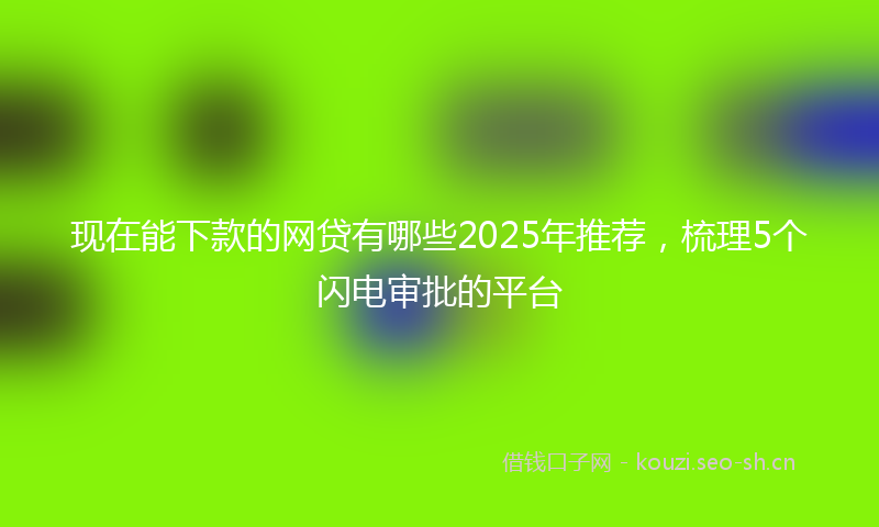 现在能下款的网贷有哪些2025年推荐,梳理5个闪电审批的平台