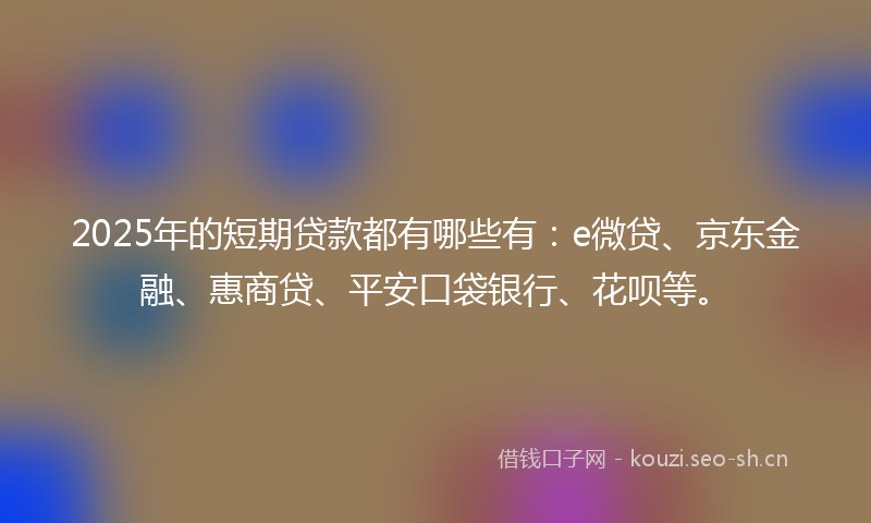 2025年的短期贷款都有哪些有：e微贷、京东金融、惠商贷、平安口袋银行、花呗等。