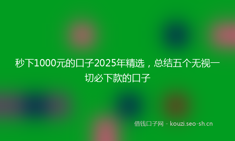 秒下1000元的口子2025年精选，总结五个无视一切必下款的口子