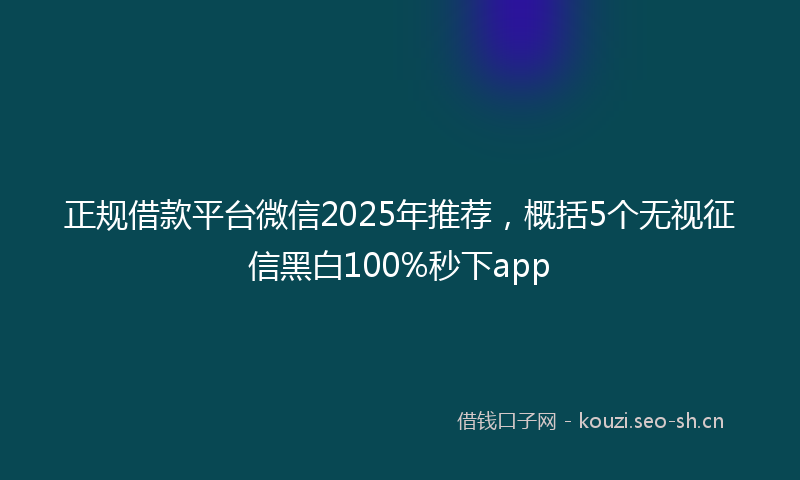 正规借款平台微信2025年推荐，概括5个无视征信黑白100%秒下app