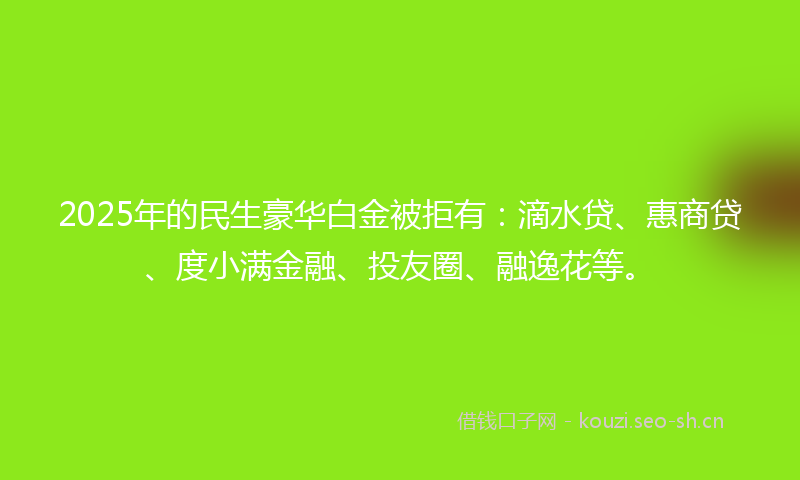 2025年的民生豪华白金被拒有：滴水贷、惠商贷、度小满金融、投友圈、融逸花等。