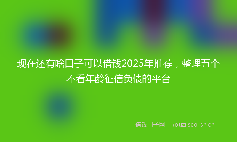 现在还有啥口子可以借钱2025年推荐，整理五个不看年龄征信负债的平台