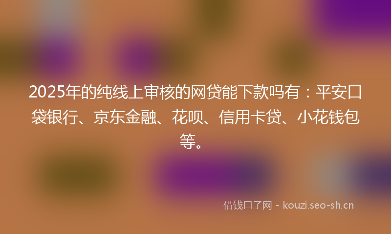 2025年的纯线上审核的网贷能下款吗有：平安口袋银行、京东金融、花呗、信用卡贷、小花钱包等。