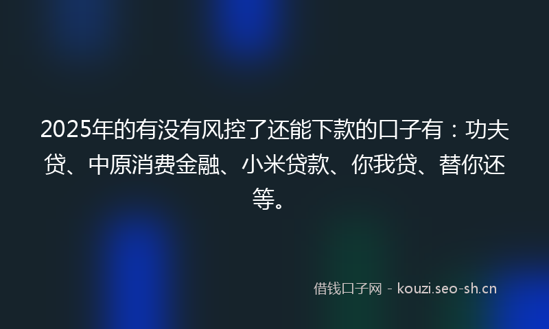 2025年的有没有风控了还能下款的口子有：功夫贷、中原消费金融、小米贷款、你我贷、替你还等。