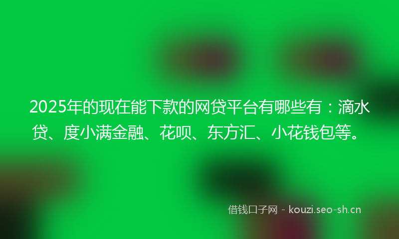 2025年的现在能下款的网贷平台有哪些有：滴水贷、度小满金融、花呗、东方汇、小花钱包等。