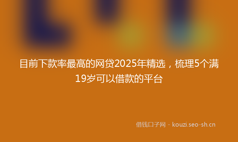 目前下款率最高的网贷2025年精选，梳理5个满19岁可以借款的平台