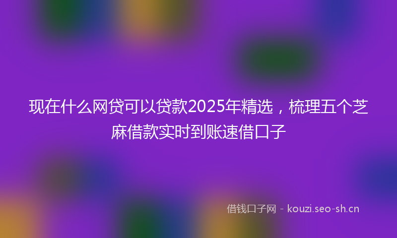 现在什么网贷可以贷款2025年精选，梳理五个芝麻借款实时到账速借口子