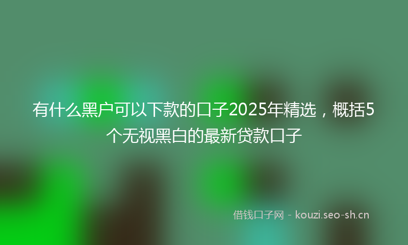 有什么黑户可以下款的口子2025年精选，概括5个无视黑白的最新贷款口子