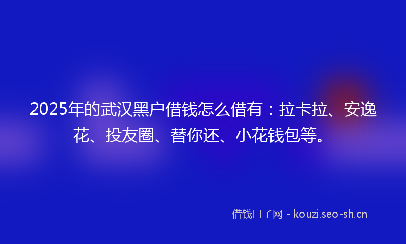 2025年的武汉黑户借钱怎么借有：拉卡拉、安逸花、投友圈、替你还、小花钱包等。