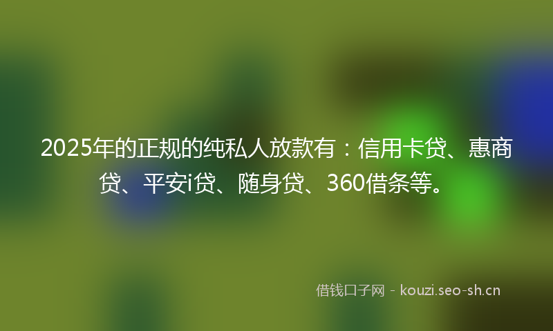 2025年的正规的纯私人放款有：信用卡贷、惠商贷、平安i贷、随身贷、360借条等。