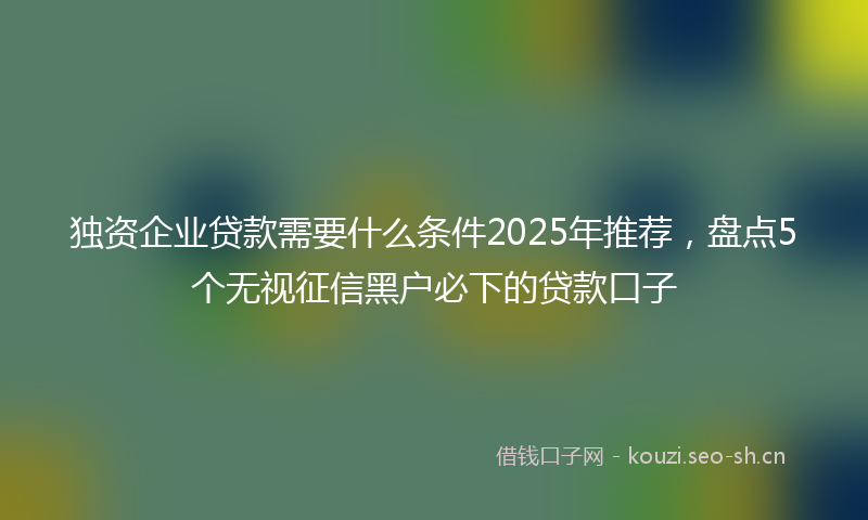 独资企业贷款需要什么条件2025年推荐，盘点5个无视征信黑户必下的贷款口子