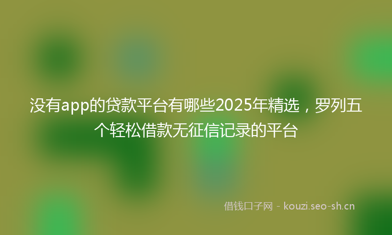 没有app的贷款平台有哪些2025年精选，罗列五个轻松借款无征信记录的平台