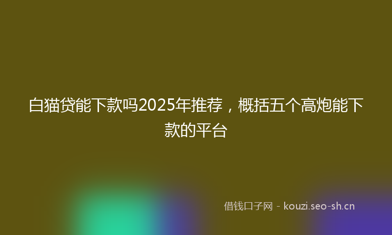 白猫贷能下款吗2025年推荐，概括五个高炮能下款的平台