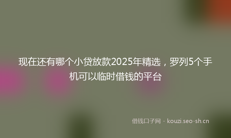 现在还有哪个小贷放款2025年精选，罗列5个手机可以临时借钱的平台
