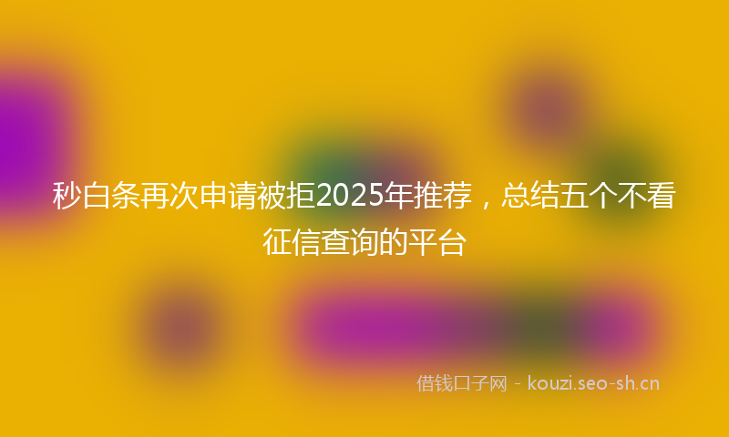 秒白条再次申请被拒2025年推荐，总结五个不看征信查询的平台