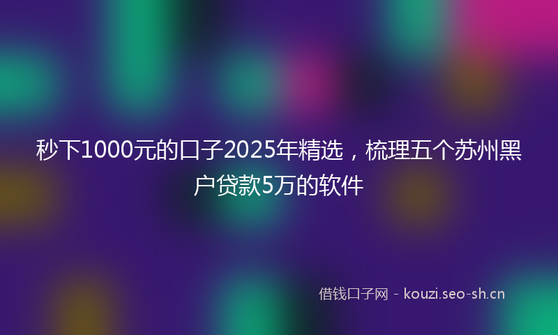 秒下1000元的口子2025年精选，梳理五个苏州黑户贷款5万的软件
