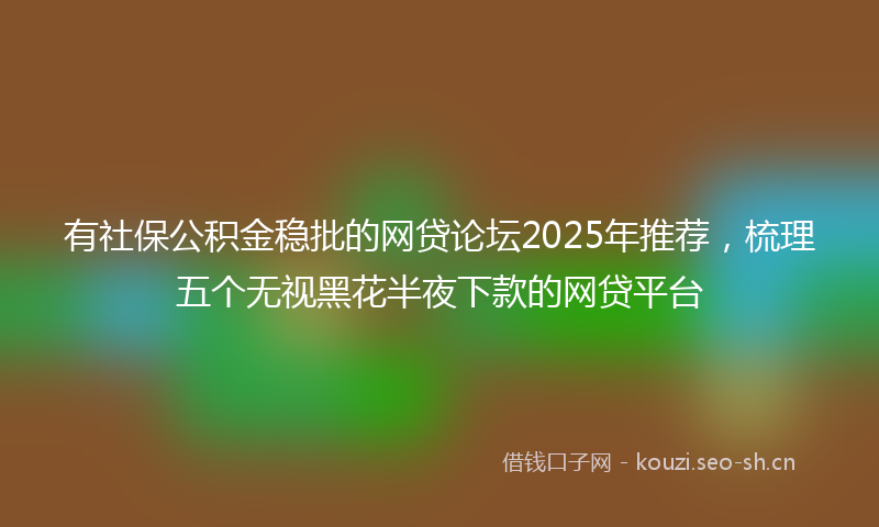 有社保公积金稳批的网贷论坛2025年推荐，梳理五个无视黑花半夜下款的网贷平台