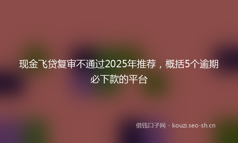 现金飞贷复审不通过2025年推荐,概括5个逾期必下款的平台