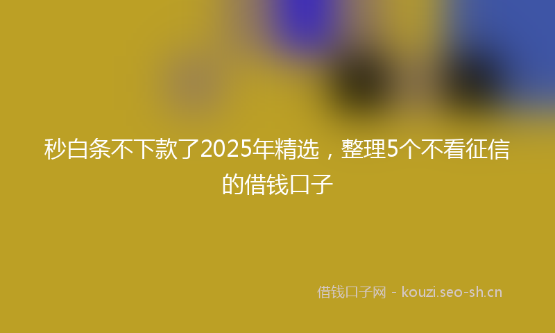 秒白条不下款了2025年精选，整理5个不看征信的借钱口子
