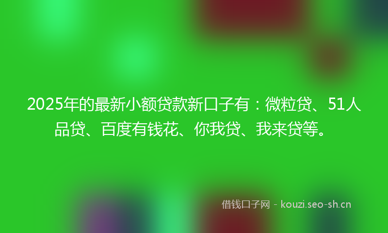 2025年的最新小额贷款新口子有：微粒贷、51人品贷、百度有钱花、你我贷、我来贷等。