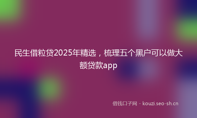 民生借粒贷2025年精选，梳理五个黑户可以做大额贷款app
