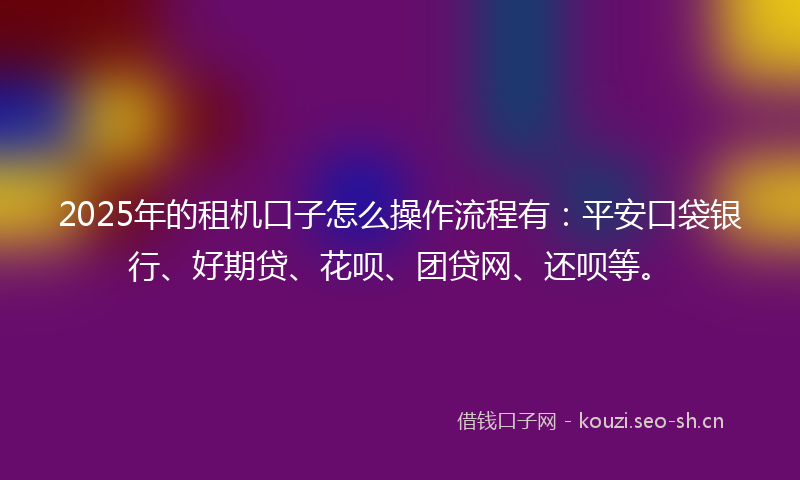 2025年的租机口子怎么操作流程有：平安口袋银行、好期贷、花呗、团贷网、还呗等。
