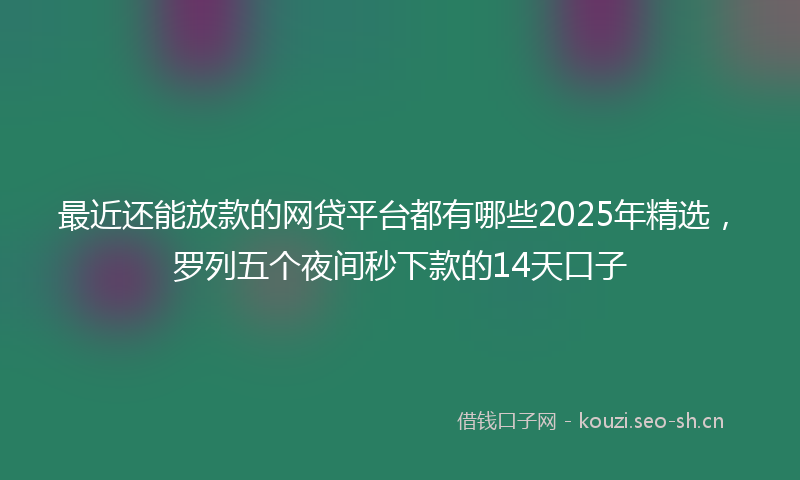 最近还能放款的网贷平台都有哪些2025年精选，罗列五个夜间秒下款的14天口子