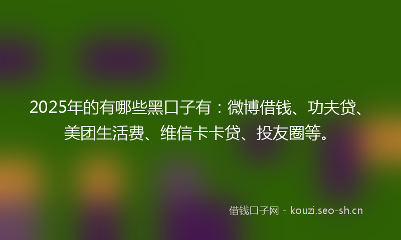 2025年的有哪些黑口子有：微博借钱、功夫贷、美团生活费、维信卡卡贷、投友圈等。