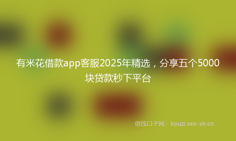 有米花借款app客服2025年精选，分享五个5000块贷款秒下平台