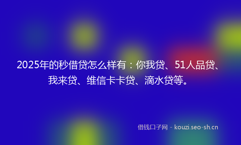 2025年的秒借贷怎么样有：你我贷、51人品贷、我来贷、维信卡卡贷、滴水贷等。