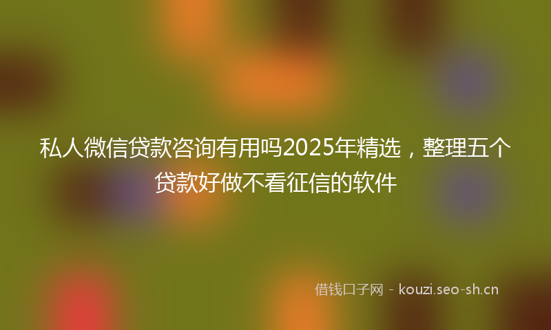 私人微信贷款咨询有用吗2025年精选，整理五个贷款好做不看征信的软件