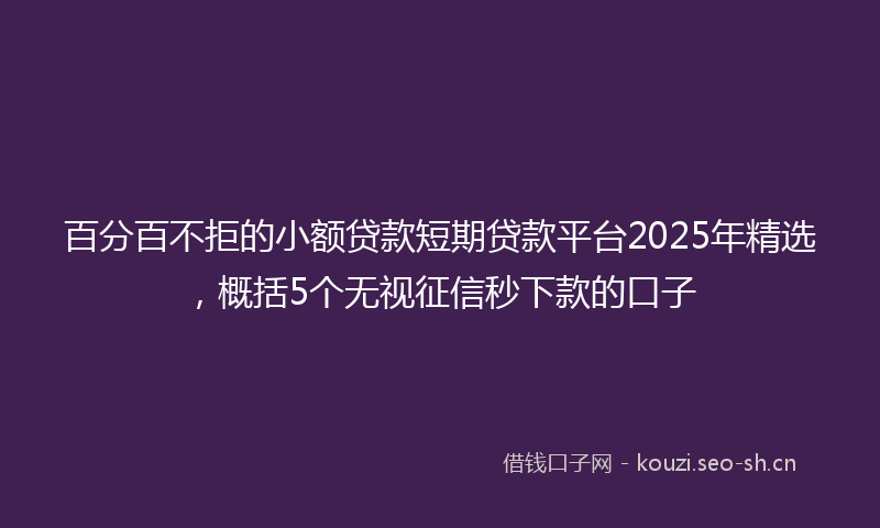 百分百不拒的小额贷款短期贷款平台2025年精选，概括5个无视征信秒下款的口子