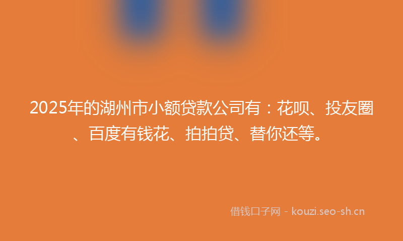 2025年的湖州市小额贷款公司有：花呗、投友圈、百度有钱花、拍拍贷、替你还等。