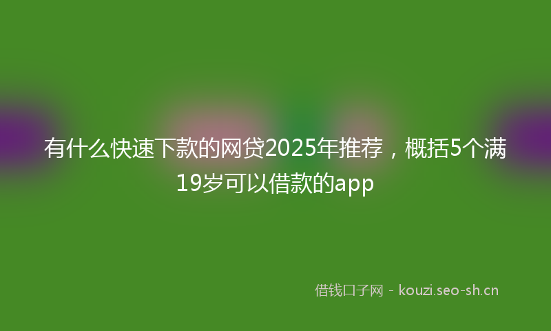 有什么快速下款的网贷2025年推荐，概括5个满19岁可以借款的app