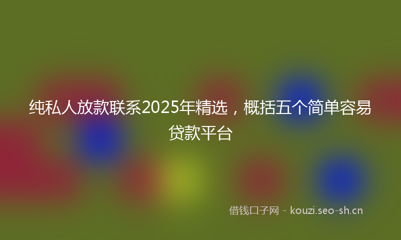 纯私人放款联系2025年精选，概括五个简单容易贷款平台