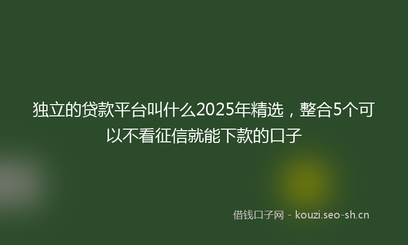 独立的贷款平台叫什么2025年精选，整合5个可以不看征信就能下款的口子