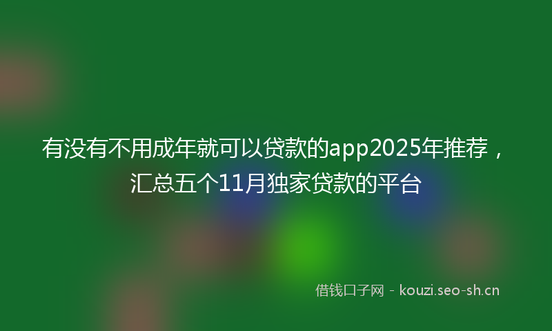 有没有不用成年就可以贷款的app2025年推荐，汇总五个11月独家贷款的平台