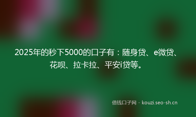 2025年的秒下5000的口子有:随身贷、e微贷、花呗、拉卡拉、平安i贷等。