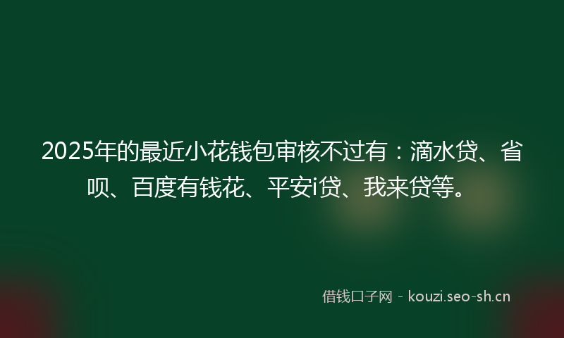 2025年的最近小花钱包审核不过有：滴水贷、省呗、百度有钱花、平安i贷、我来贷等。