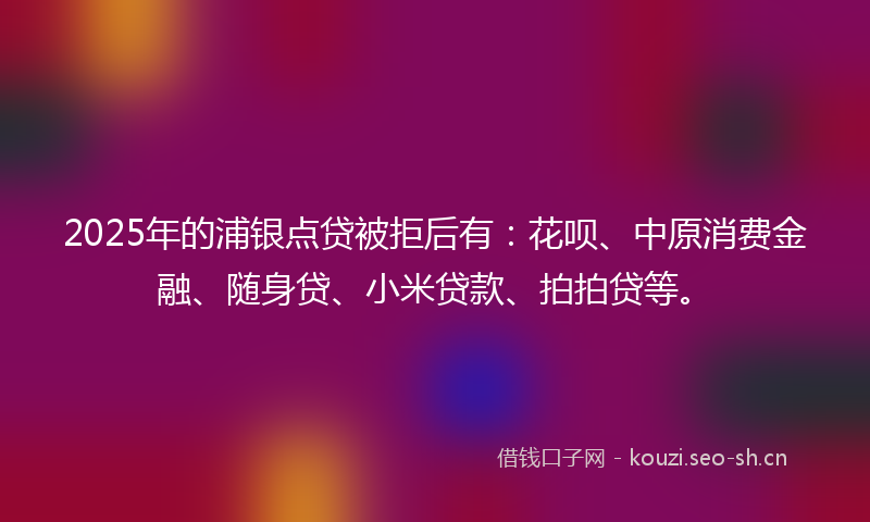 2025年的浦银点贷被拒后有：花呗、中原消费金融、随身贷、小米贷款、拍拍贷等。