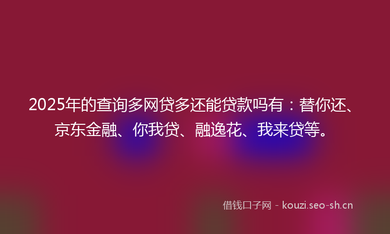2025年的查询多网贷多还能贷款吗有：替你还、京东金融、你我贷、融逸花、我来贷等。