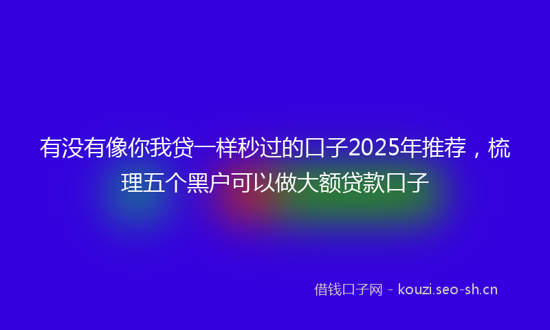 有没有像你我贷一样秒过的口子2025年推荐，梳理五个黑户可以做大额贷款口子