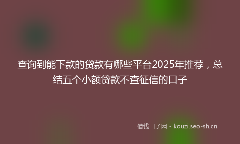 查询到能下款的贷款有哪些平台2025年推荐，总结五个小额贷款不查征信的口子