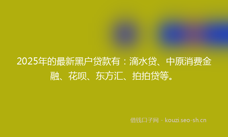 2025年的最新黑户贷款有：滴水贷、中原消费金融、花呗、东方汇、拍拍贷等。