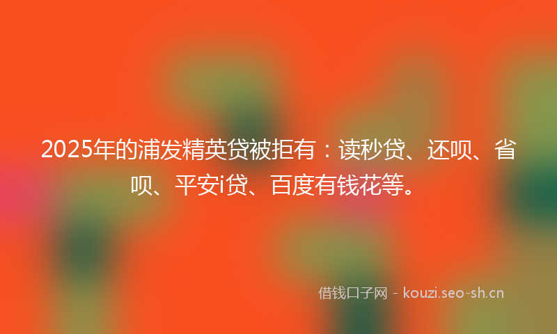 2025年的浦发精英贷被拒有:读秒贷、还呗、省呗、平安i贷、百度有钱花等。