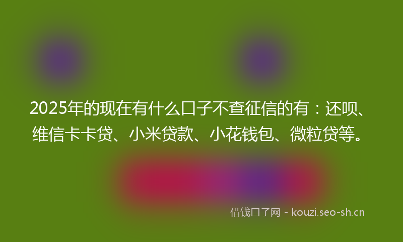 2025年的现在有什么口子不查征信的有：还呗、维信卡卡贷、小米贷款、小花钱包、微粒贷等。