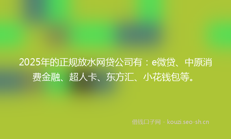 2025年的正规放水网贷公司有：e微贷、中原消费金融、超人卡、东方汇、小花钱包等。