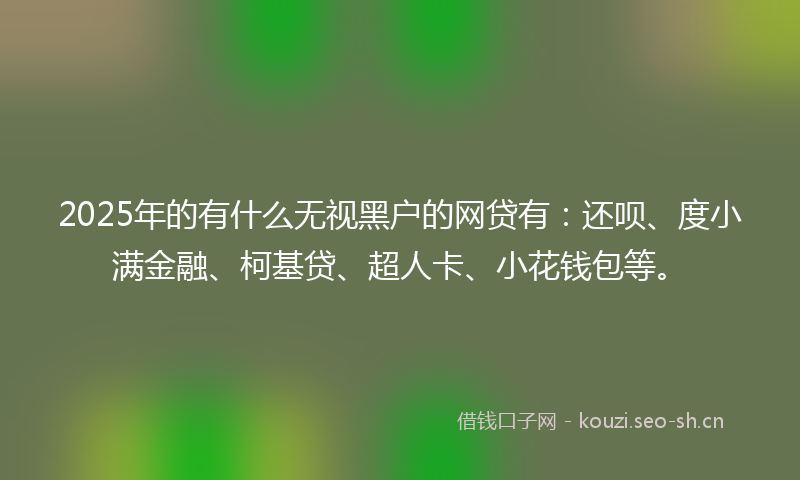 2025年的有什么无视黑户的网贷有：还呗、度小满金融、柯基贷、超人卡、小花钱包等。