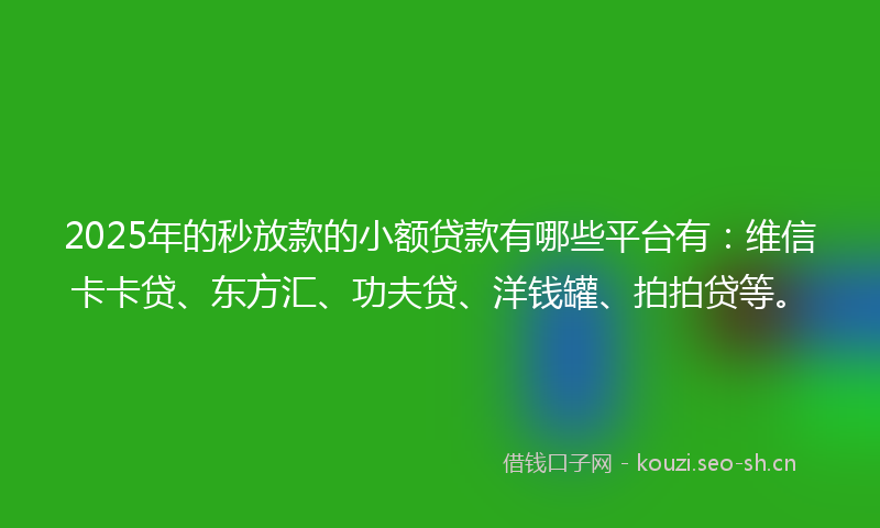 2025年的秒放款的小额贷款有哪些平台有：维信卡卡贷、东方汇、功夫贷、洋钱罐、拍拍贷等。