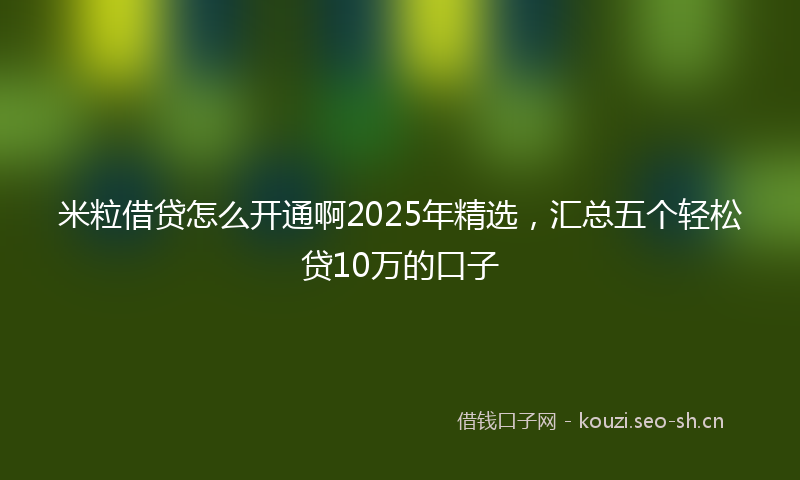 米粒借贷怎么开通啊2025年精选，汇总五个轻松贷10万的口子